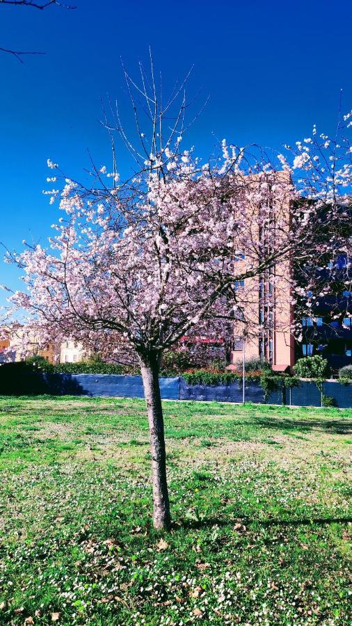 Bologna Vista Parco Apartment 2 Letti Matrimoniali Экстерьер фото